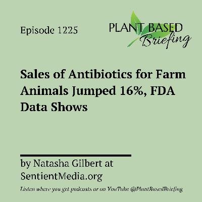 1225: Sales of Antibiotics for Farm Animals Jumped 16%, FDA Data Shows by Natasha Gilbert at SentientMedia.org