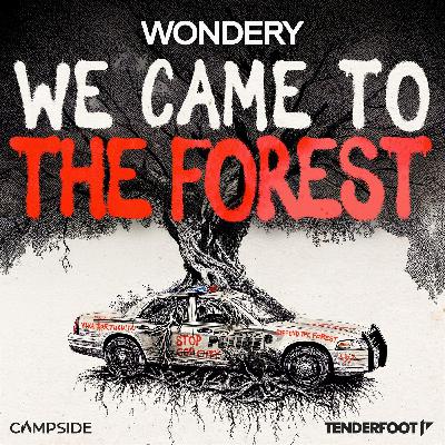 NEW SERIES: We Came to the Forest
