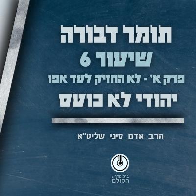 תומר דבורה | פרק א' | שיעור 6 | תשפ"ה