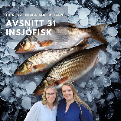 Avsnitt 31 - Insjöfisk