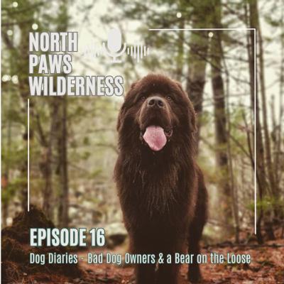Dog Diaries - Bad Dog Owners & a Bear on the Loose