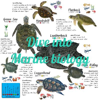 Intro to Dive into Marine Biology