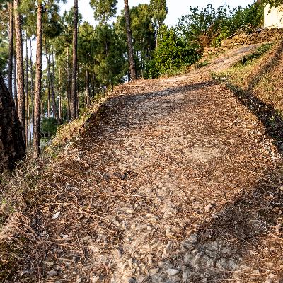 Ep. 586 Abu Musab al-Zarqawi