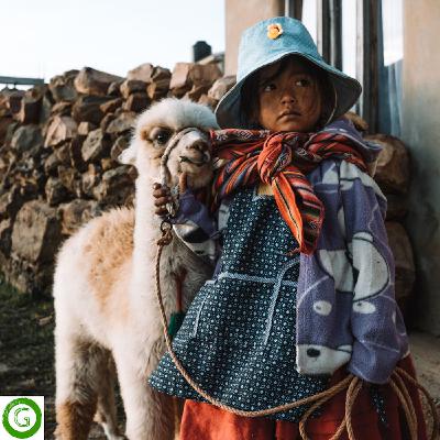 Responsible Travel in Cusco, with Cachi