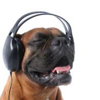 Pure White Noise - Pawsitively Powerful