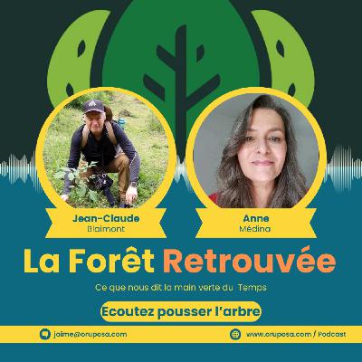 Reforestation à Madagascar : planter une forêt et réapprendre le temps long