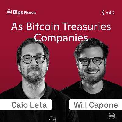Bitcoin Treasuries Companies, as empresas que compram BTC como modelo de negócio - Bipa News 43