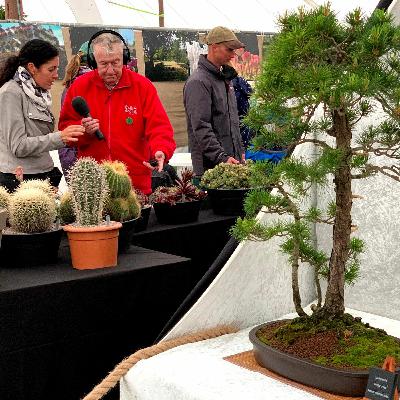 Out and About - August 2020