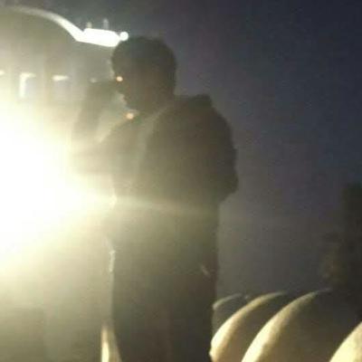 Sexual Reproduction in Flowering Plants Sexual Reproduction in Flowering Plants