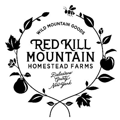 Meet Kristen from The Chicken Librarian