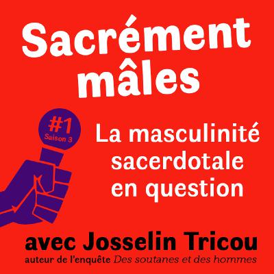 Sacrément mâles. La masculinité sacerdotale en question