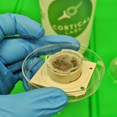 Die Mensch-Maschine: Biocomputer vorgestellt