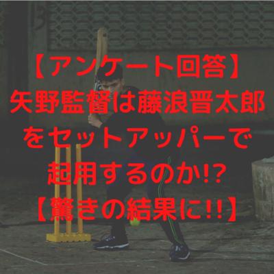 【アンケート回答】矢野監督は藤浪晋太郎をセットアッパーで起用するのか!?【驚きの結果に!!】