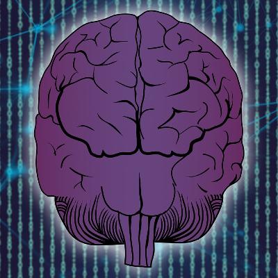 Best Supplements for the Brain