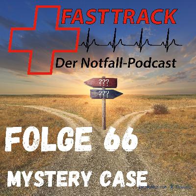 66 - Ein Mystery Case