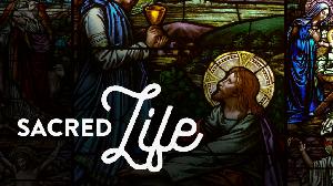 Week 7 – Sacred Life | Stewardship