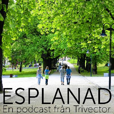 Avsnitt 28 – Katarina Pelin – Från Lomma till Hongkong - eller tvärtom