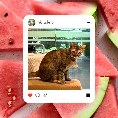 EP30 | 語学学校総集編!/ ヨガにハマる20代男子 / タイ人猫アレルギー多い説 EP30 | 語学学校総集編!/ ヨガにハマる20代男子 / タイ人猫アレルギー多い説