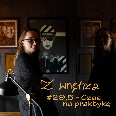 #29,5 - Czas na praktykę, czyli projektowanie wnętrz w 2 sezonie