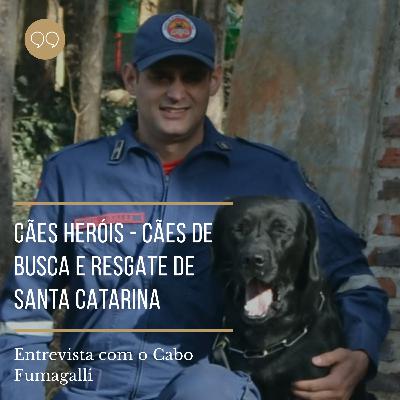 Os cães bombeiros do estado de Santa Catarina - Feat Cabo Fumagalli Os cães bombeiros do estado de Santa Catarina - Feat Cabo Fumagalli