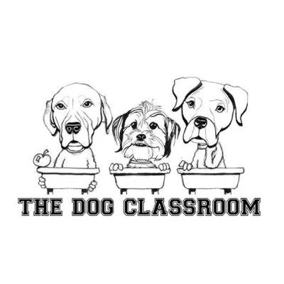 Getting Started in Dog Sports - The Dog Classroom Podcast - S03E14