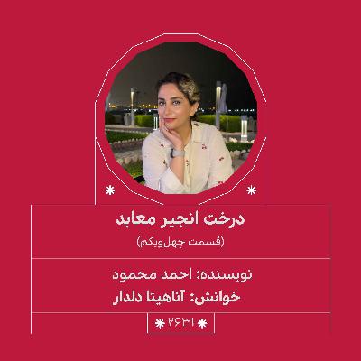 2631.درخت انجیر معابد (قسمت چهل و یکم)