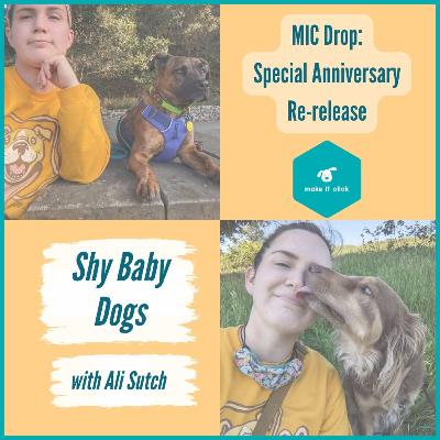 Anniversary Episode - Shy Baby Dogs with Ali Sutch