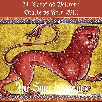 24. 一起来占塔罗① Tarot as Mirror/Oracle vs Free Will