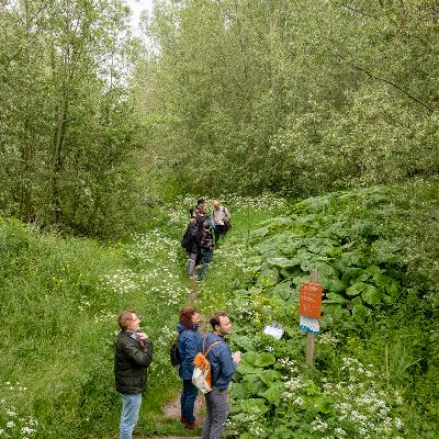 BERICHTEN UIT DE METROPOOLREGIO 4 // Robert Graat