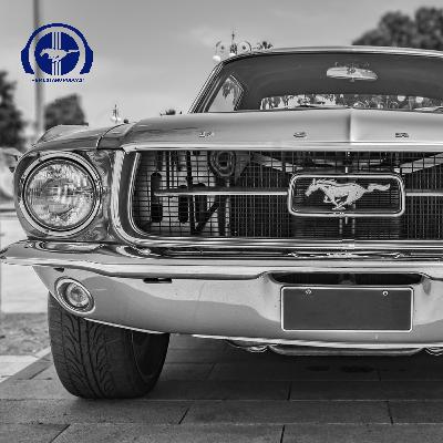 Lost Mustang 167, The Secret Journey to Finland