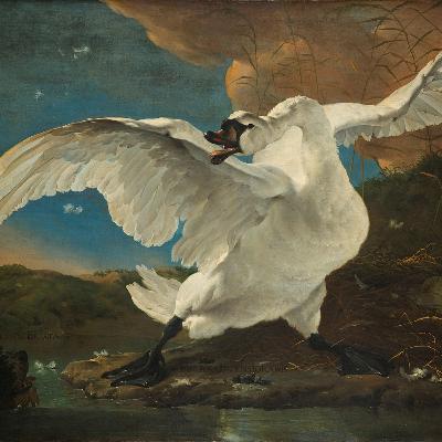 "The Threatened Swan", by Jan Asselijn, c. 1650
