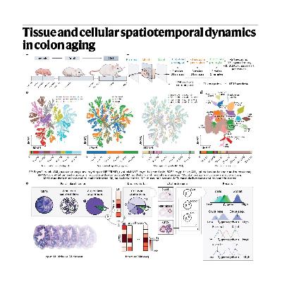 297-cSplotch: Inferring Cell-Type-Specific Spatial profile 297-cSplotch: Inferring Cell-Type-Specific Spatial profile
