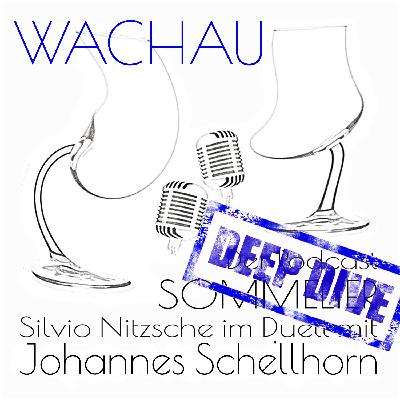 Johannes Schellhorn – Wachau im Deep Dive