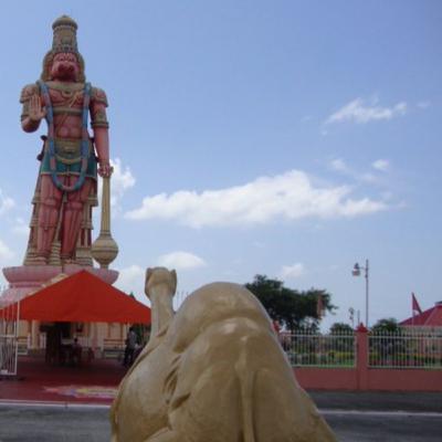 Hanuman on a Camel !?