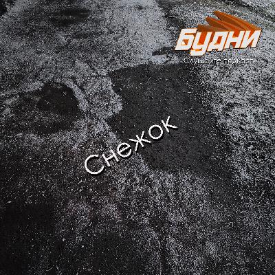 Выпал снежок, и обещают бурю.