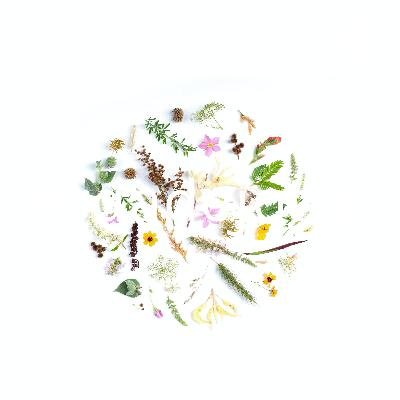 averdadejogada (Trailer)