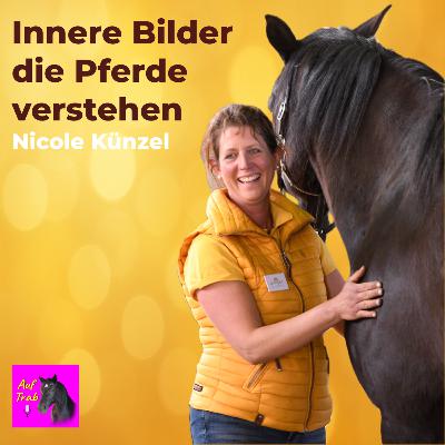 Harmonisch reiten mit inneren Bildern
