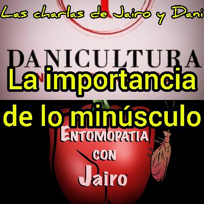 La importancia de lo minúsculo