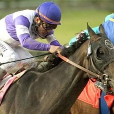 Lava Man repeats Big Cap. Great Hunter and Scat Daddy win on the Derby trail.