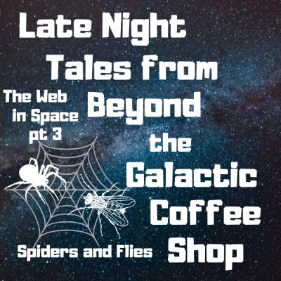 Spiders and Flies - The Web in Space pt 3
