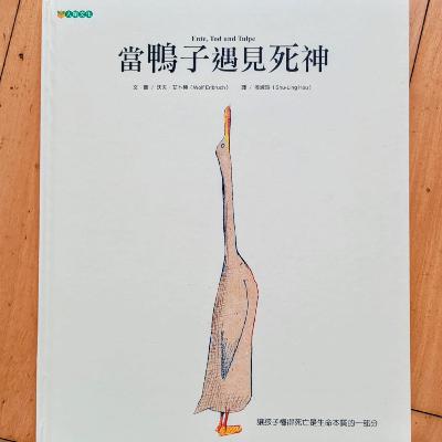 🪿《當鴨子遇見死神》💀   (死神/命運/生與死)