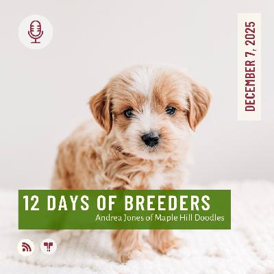 12 Days of Breeders 2025 - #7 - Andrea Jones of Maple Hill Doodles 12 Days of Breeders 2025 - #7 - Andrea Jones of Maple Hill Doodles
