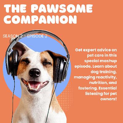 Pet Care Essentials: Top Tips from Season 1