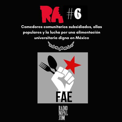 Comedores comunitarios subsidiados, ollas populares y la lucha por una alimentación universitaria digna en México