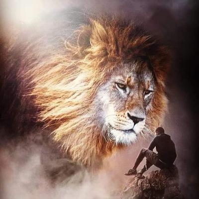 quieres saber la verdad... aquí están mis fracasos y mis cómplices...