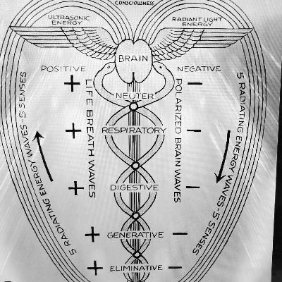 Ganpati - Kundalini shakti.⚕️