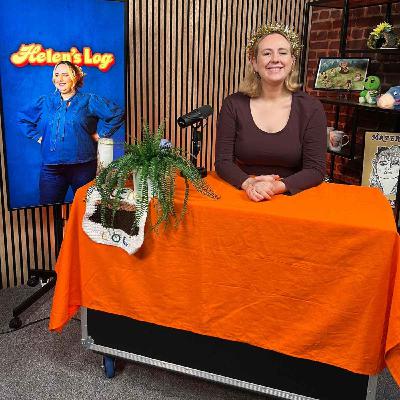 18. Christmas, Cheese, Christingles