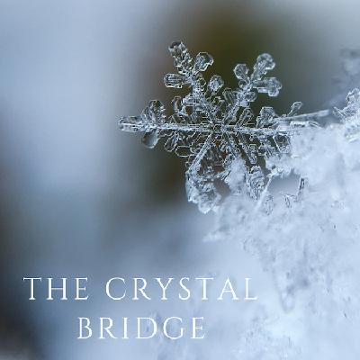 E5: The crystal bridge to consciousness E5: The crystal bridge to consciousness