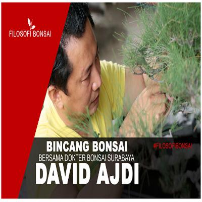 Dokter Bonsai Surabaya (David Adji)