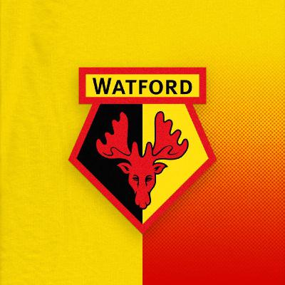 E5: Troy Deeney meets Ed and Edo! E5: Troy Deeney meets Ed and Edo!